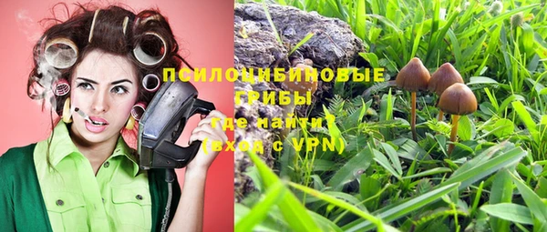 метадон Аркадак