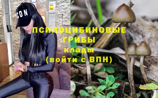 гашиш Арсеньев