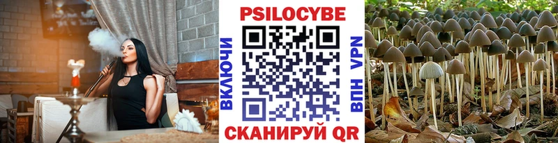 Купить закладки  Оренбург  Галлюциногенные грибы Psilocybe 